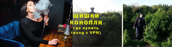 марихуана Белокуриха