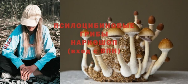 ешки Белоозёрский