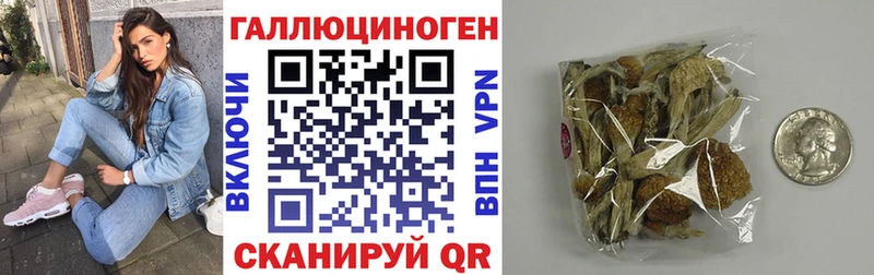 Галлюциногенные грибы ЛСД  наркотики  Элиста 